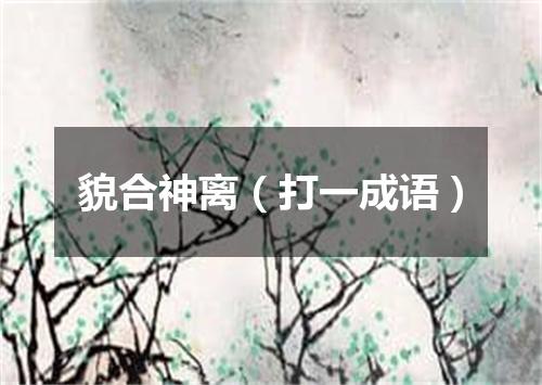 貌合神离（打一成语）