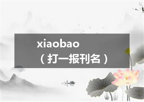 xiaobao（打一报刊名）