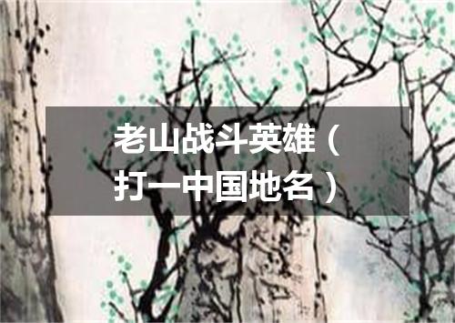 老山战斗英雄（打一中国地名）