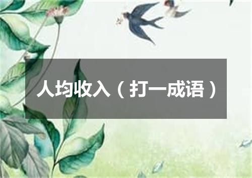人均收入（打一成语）