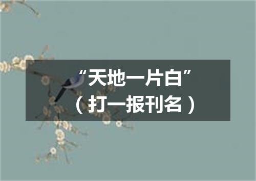 “天地一片白”（打一报刊名）