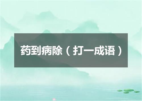药到病除（打一成语）