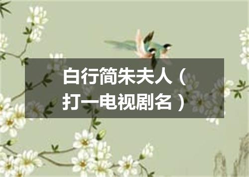 白行简朱夫人（打一电视剧名）