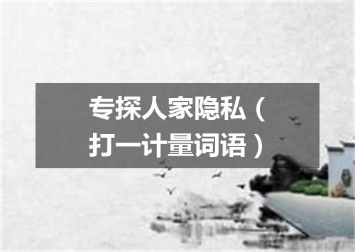 专探人家隐私（打一计量词语）
