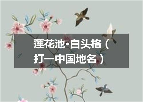 莲花池·白头格（打一中国地名）