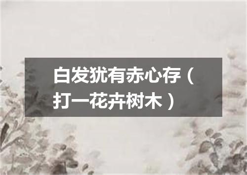 白发犹有赤心存（打一花卉树木）