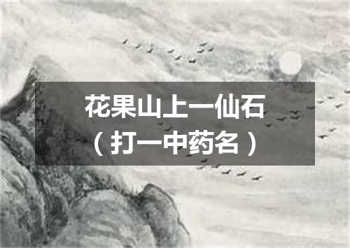 花果山上一仙石（打一中药名）
