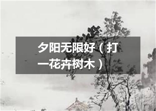 夕阳无限好（打一花卉树木）