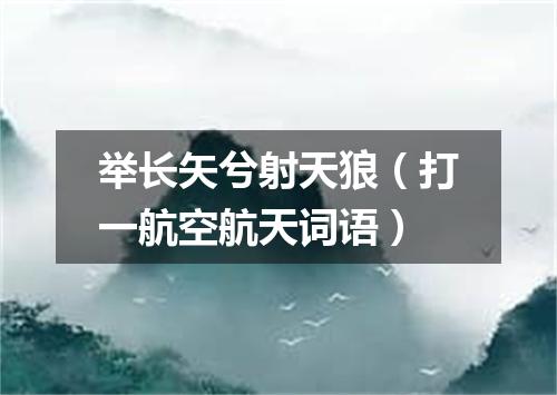举长矢兮射天狼（打一航空航天词语）