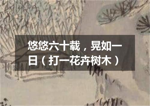 悠悠六十载，晃如一日（打一花卉树木）