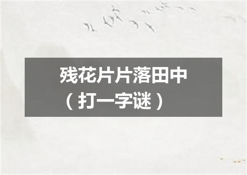 残花片片落田中（打一字谜）