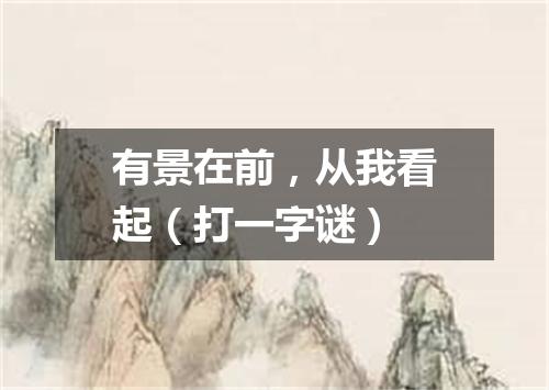 有景在前，从我看起（打一字谜）