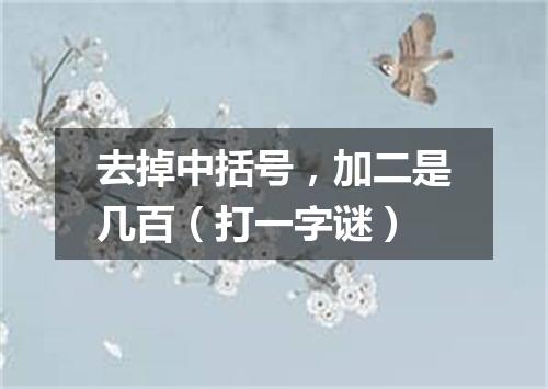 去掉中括号，加二是几百（打一字谜）