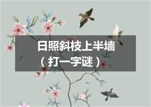 日照斜枝上半墙（打一字谜）