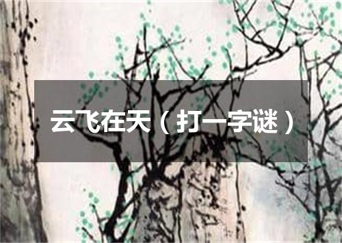 云飞在天（打一字谜）