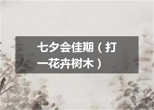 七夕会佳期（打一花卉树木）