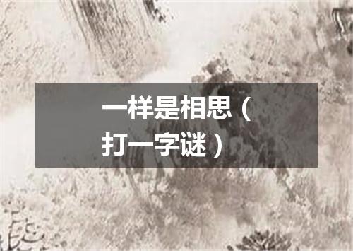 一样是相思（打一字谜）