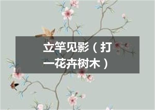 立竿见影（打一花卉树木）