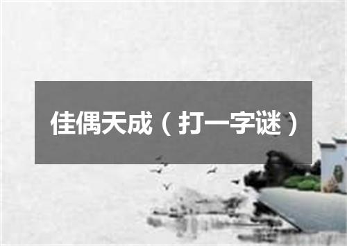 佳偶天成（打一字谜）