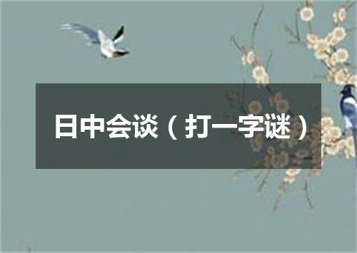 日中会谈（打一字谜）