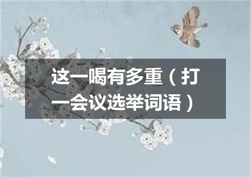这一喝有多重（打一会议选举词语）