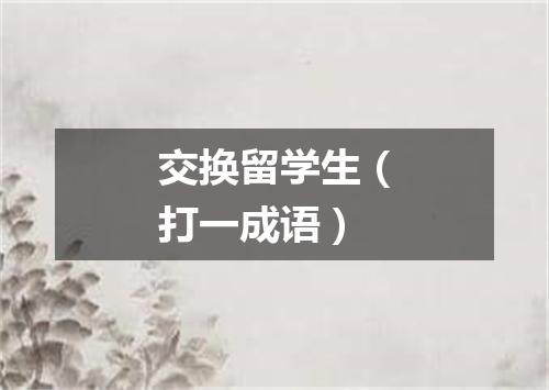 交换留学生（打一成语）