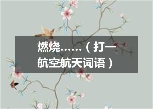 燃烧……（打一航空航天词语）