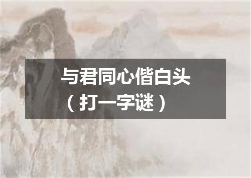 与君同心偕白头（打一字谜）