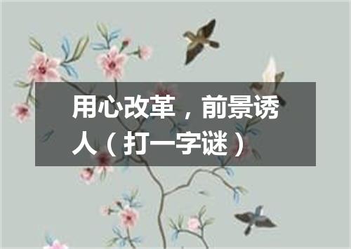 用心改革，前景诱人（打一字谜）