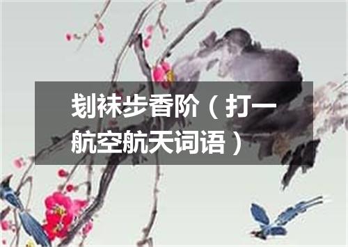 刬袜步香阶（打一航空航天词语）