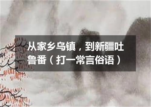 从家乡乌镇，到新疆吐鲁番（打一常言俗语）