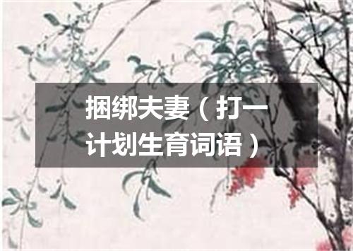 捆绑夫妻（打一计划生育词语）