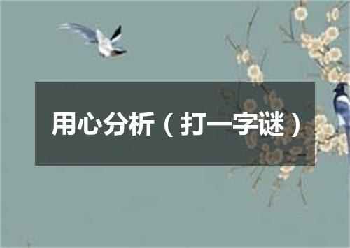 用心分析（打一字谜）