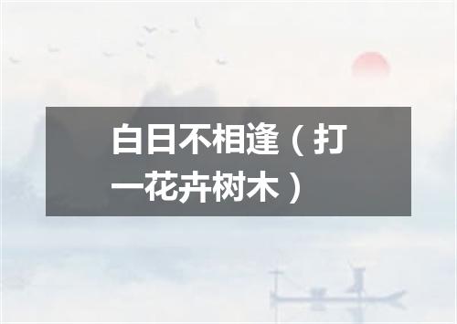 白日不相逢（打一花卉树木）