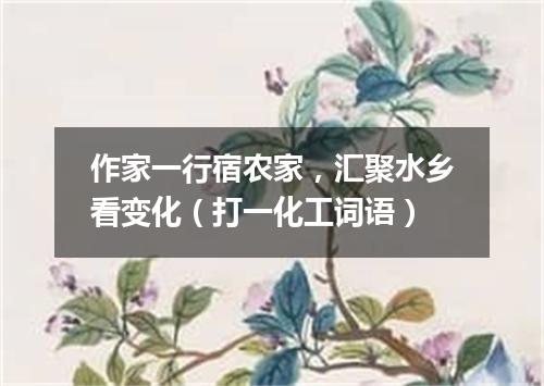 作家一行宿农家，汇聚水乡看变化（打一化工词语）