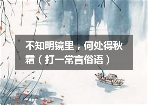 不知明镜里，何处得秋霜（打一常言俗语）