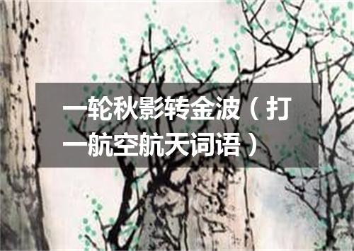 一轮秋影转金波（打一航空航天词语）