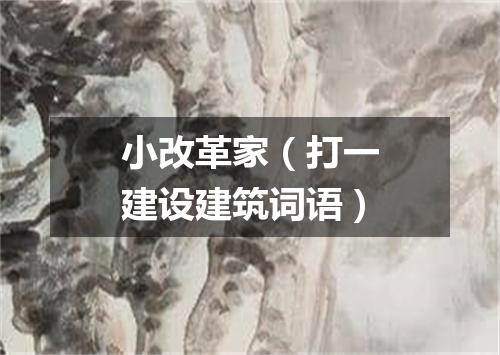 小改革家（打一建设建筑词语）