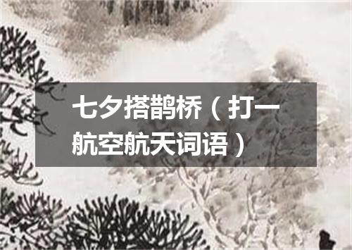 七夕搭鹊桥（打一航空航天词语）