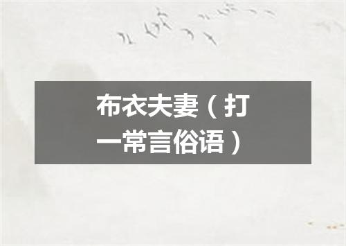 布衣夫妻（打一常言俗语）