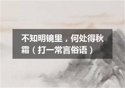 不知明镜里，何处得秋霜（打一常言俗语）