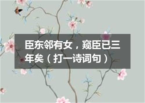 臣东邻有女，窥臣已三年矣（打一诗词句）