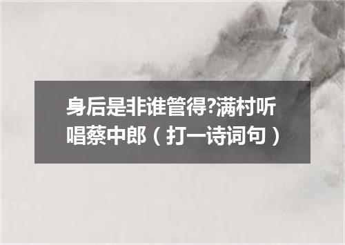 身后是非谁管得?满村听唱蔡中郎（打一诗词句）