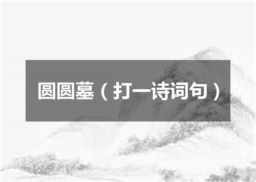 圆圆墓（打一诗词句）