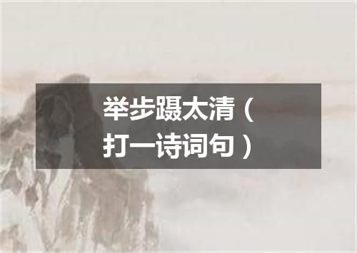 举步蹑太清（打一诗词句）