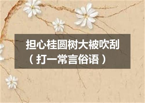 担心桂圆树大被吹刮（打一常言俗语）