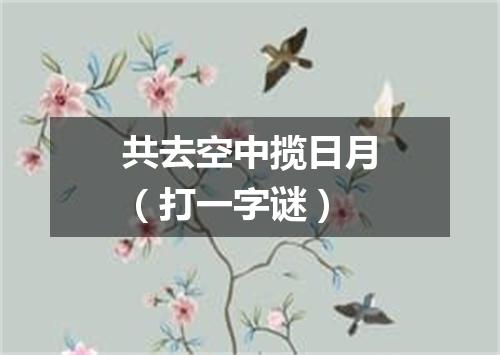 共去空中揽日月（打一字谜）