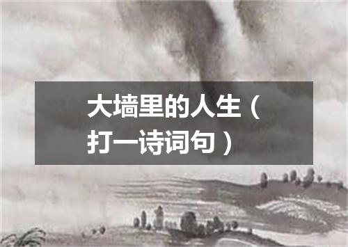 大墙里的人生（打一诗词句）