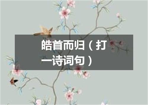 皓首而归（打一诗词句）