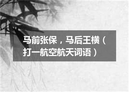 马前张保，马后王横（打一航空航天词语）